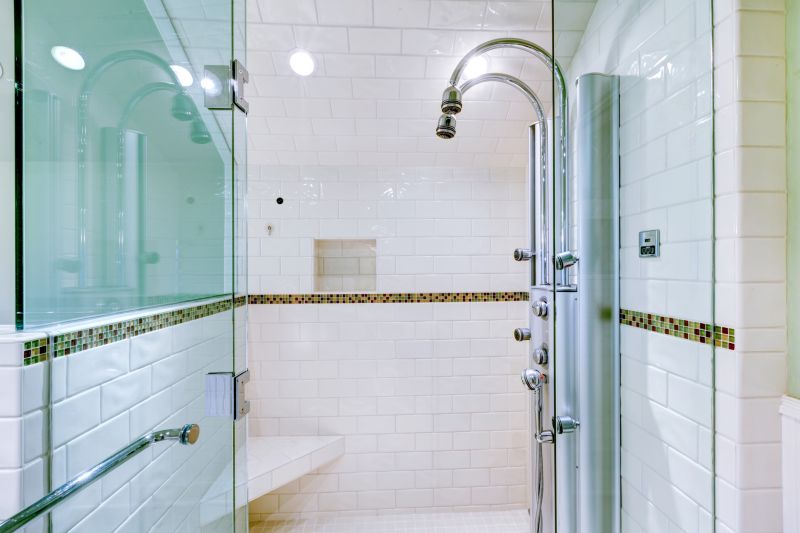 Modern Shower with Niche Storage