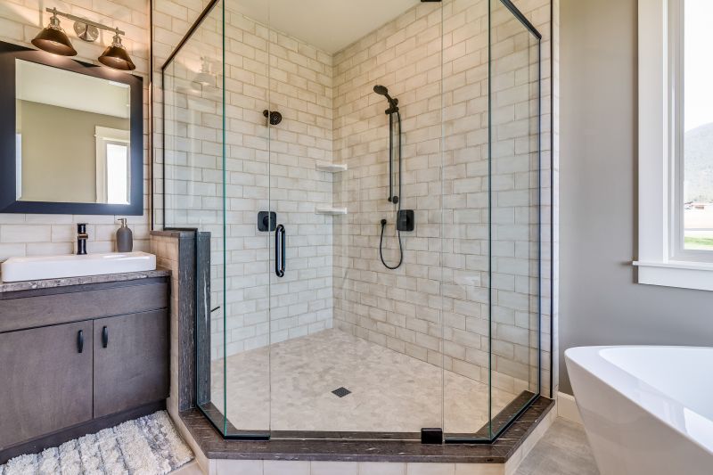 Sleek Shower Door Design